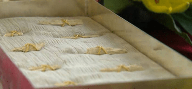 Peters-Bones-631x295