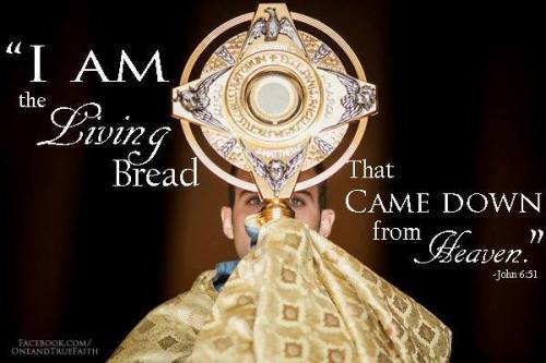 11018110_1536961839900302_7788947359551247606_n