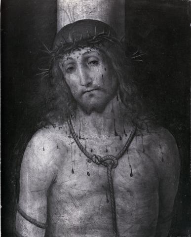 tumblr_n2sislU67Y1svymsmo1_400 (1)