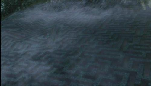 the_maze_triwizard_tournament_3rd_task