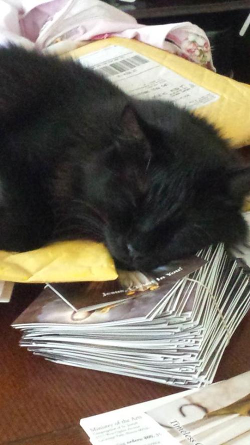 11202558_10208188463337344_3633382878291419586_n