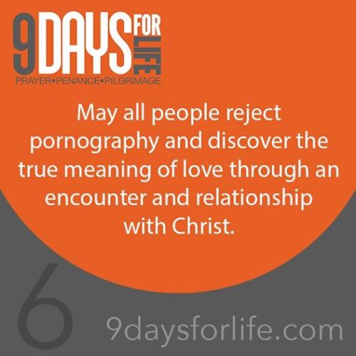 12495011_1225007610849550_4006400929326069913_n