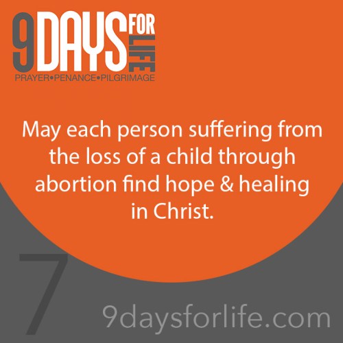 12495211_10207929720988220_7484122883042830225_n (1)