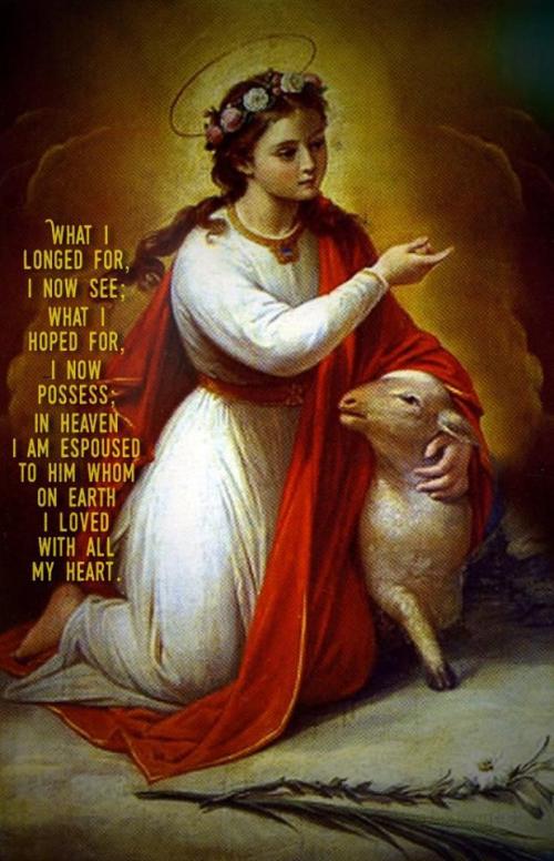 12509141_10208854057856791_745195252060081279_n