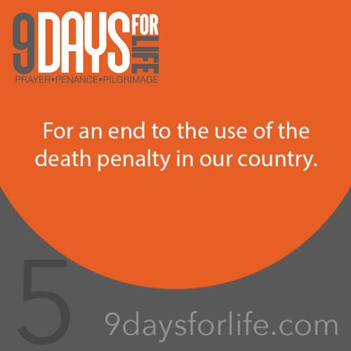 12548955_1225006964182948_1133109759711292540_n