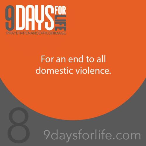 12565401_1225009097516068_5438817855200510142_n