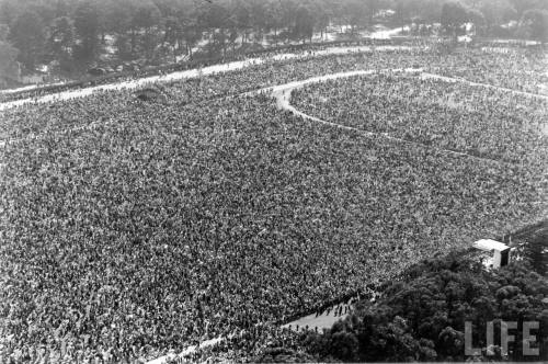 31dac3c7e7ef6941_large (1)