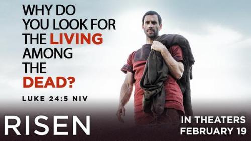 12742467_10153575030819601_7657814977224082750_n