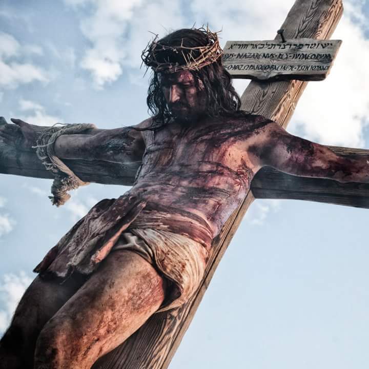 10365824_1073873262685347_6264887421581293834_n