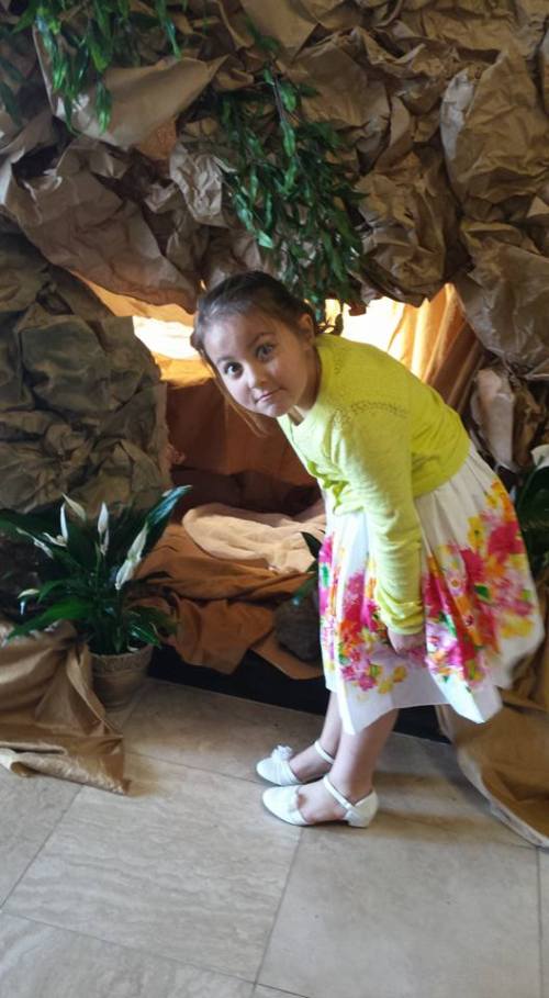 12799423_10209434055476369_1346414693530268367_n