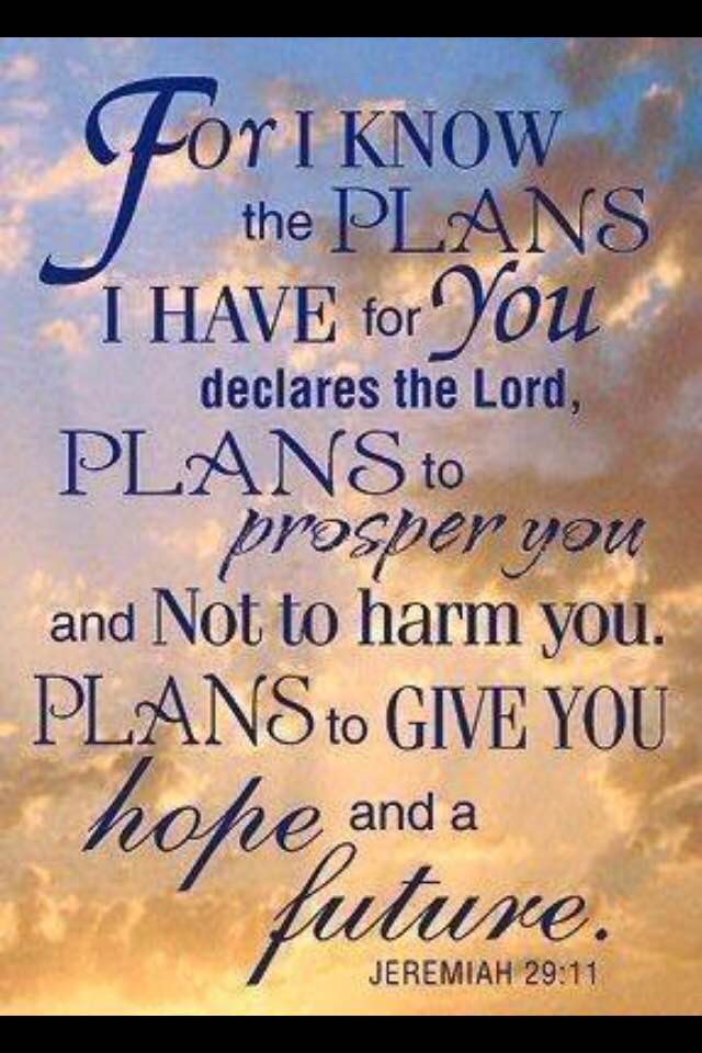 49242684_10213046287257240_6864100394688053248_n