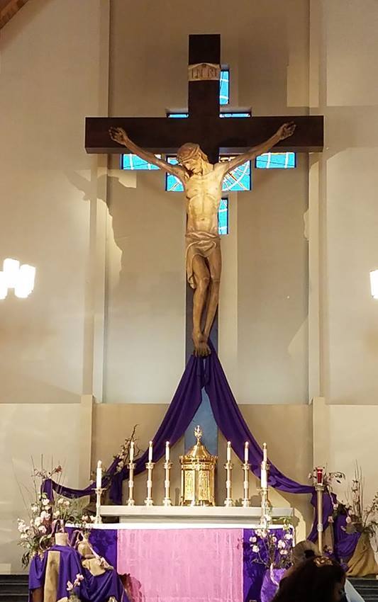 56295411_10219249491496135_2377838884571578368_n