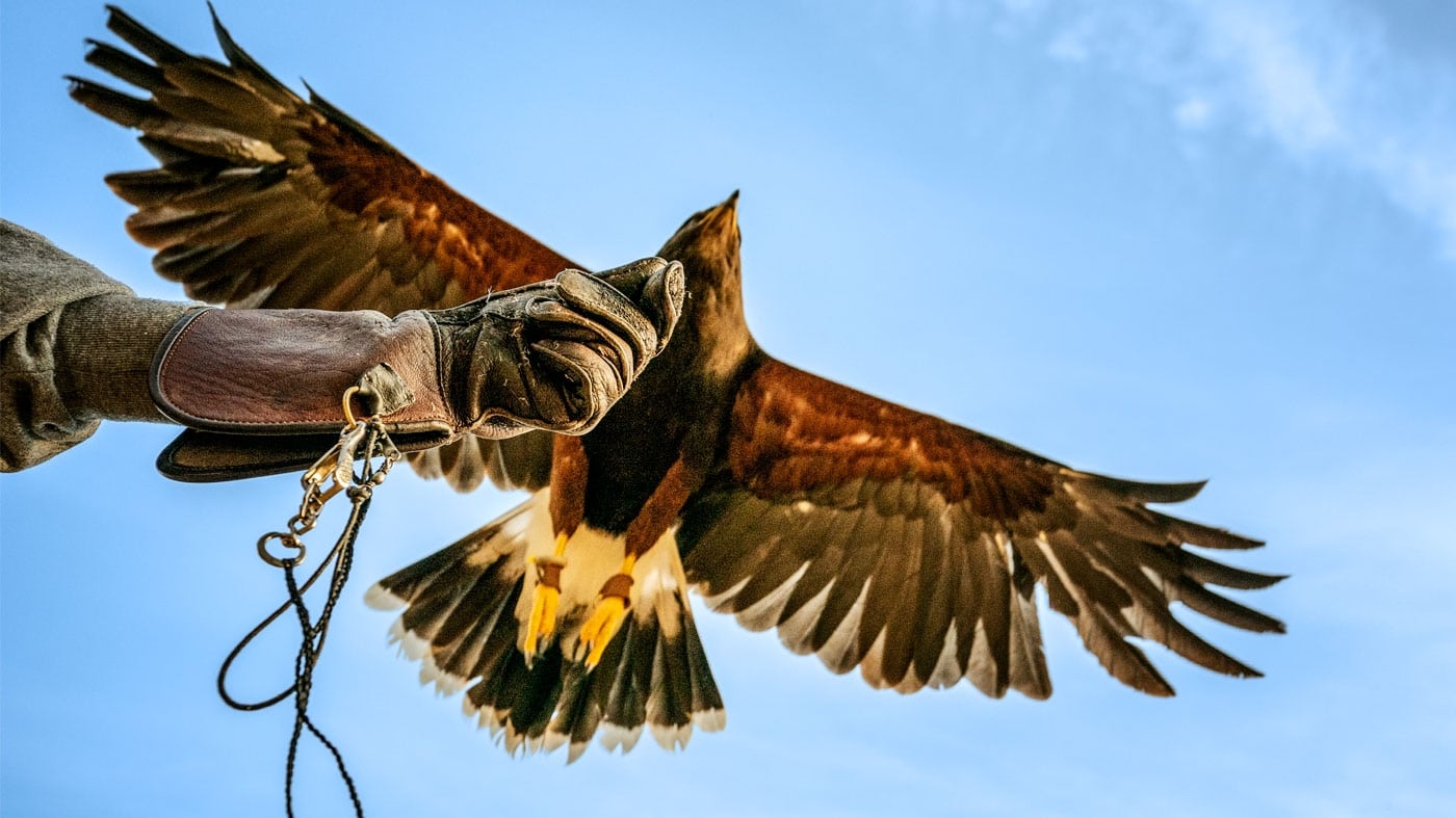 DSC09532_V2_RT-1400x787