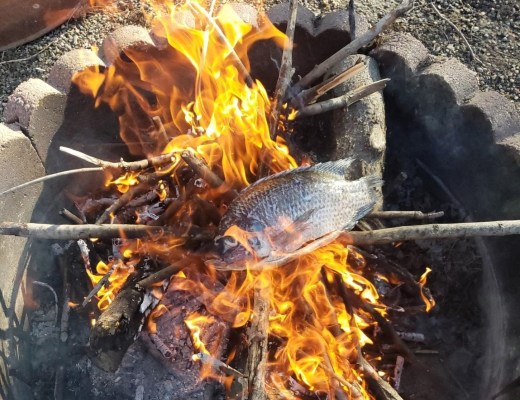 Fish-in-the-fire-original-FX1