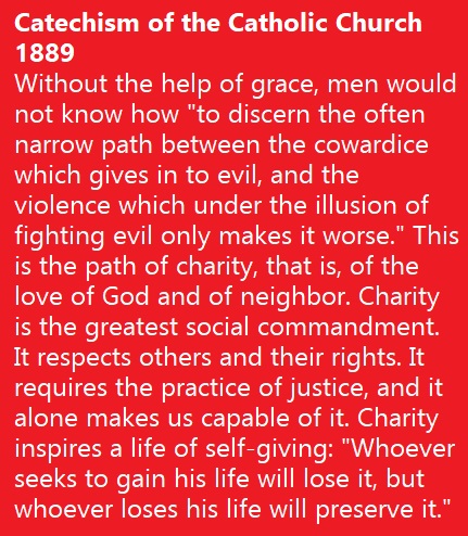 70012731_753945208394087_1410423563009130496_n