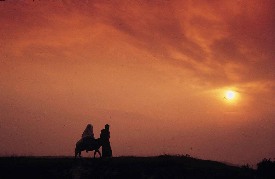 10464060_10205819758721209_6241128716254272059_n