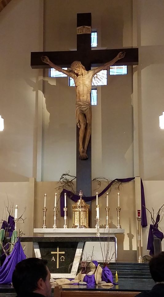 89853792_10222360323744997_7667065631849578496_o