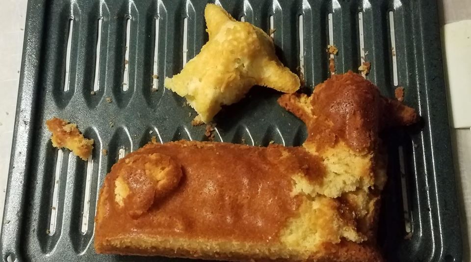 92248852_10222674347755401_8542276861789470720_o