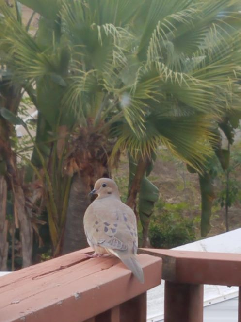 92516840_10222615362560808_1960309626075348992_o